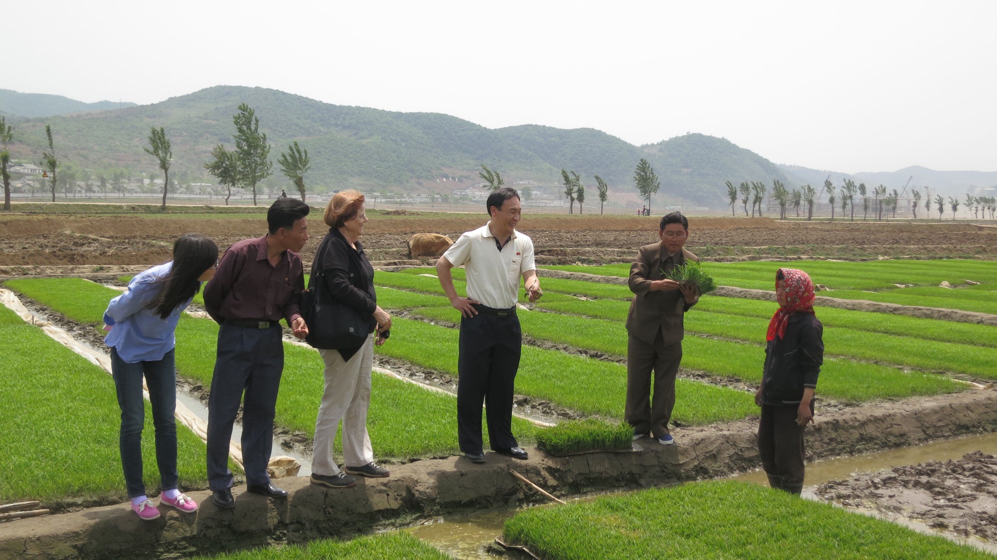 people pointing at plants in a green field