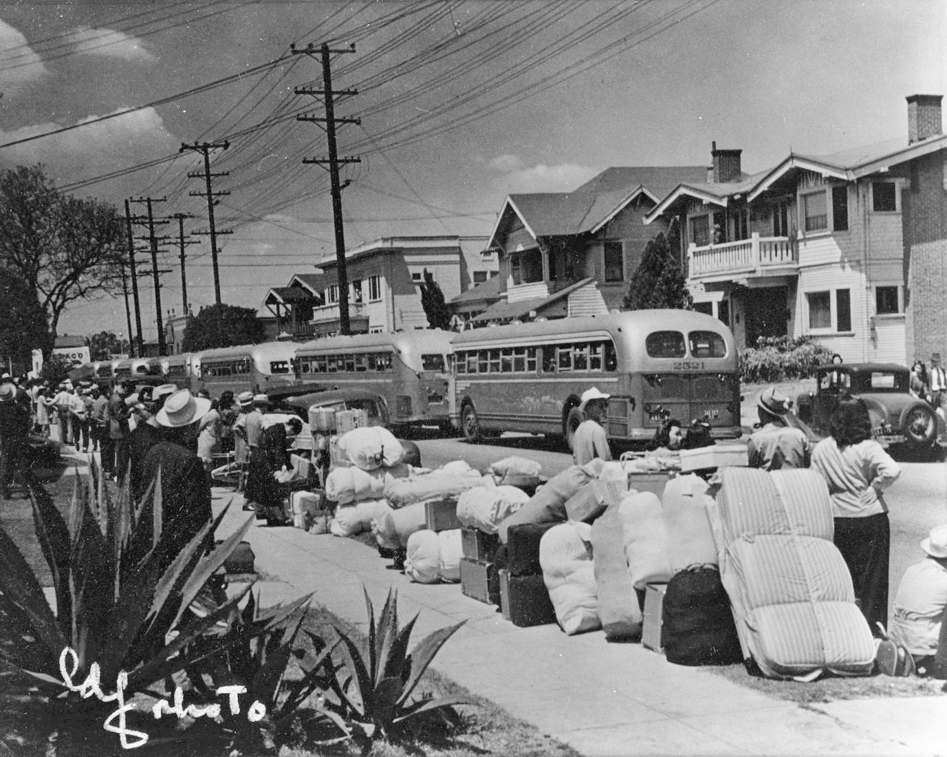 Black and white photo of busses being loaded during Japanese internment
