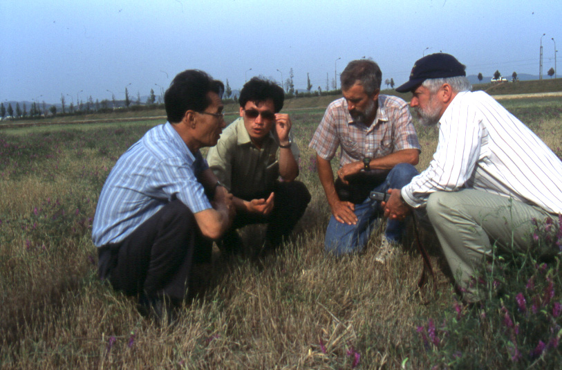 Four people crouching together in a field