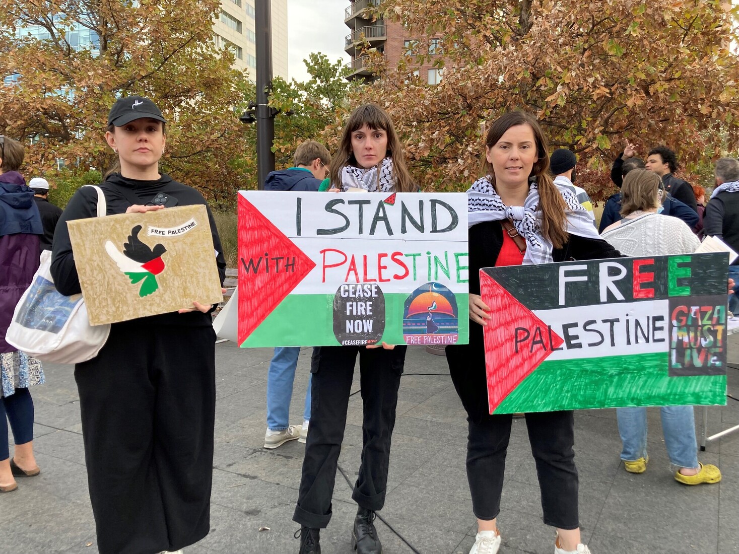 3 people holding palestine signs