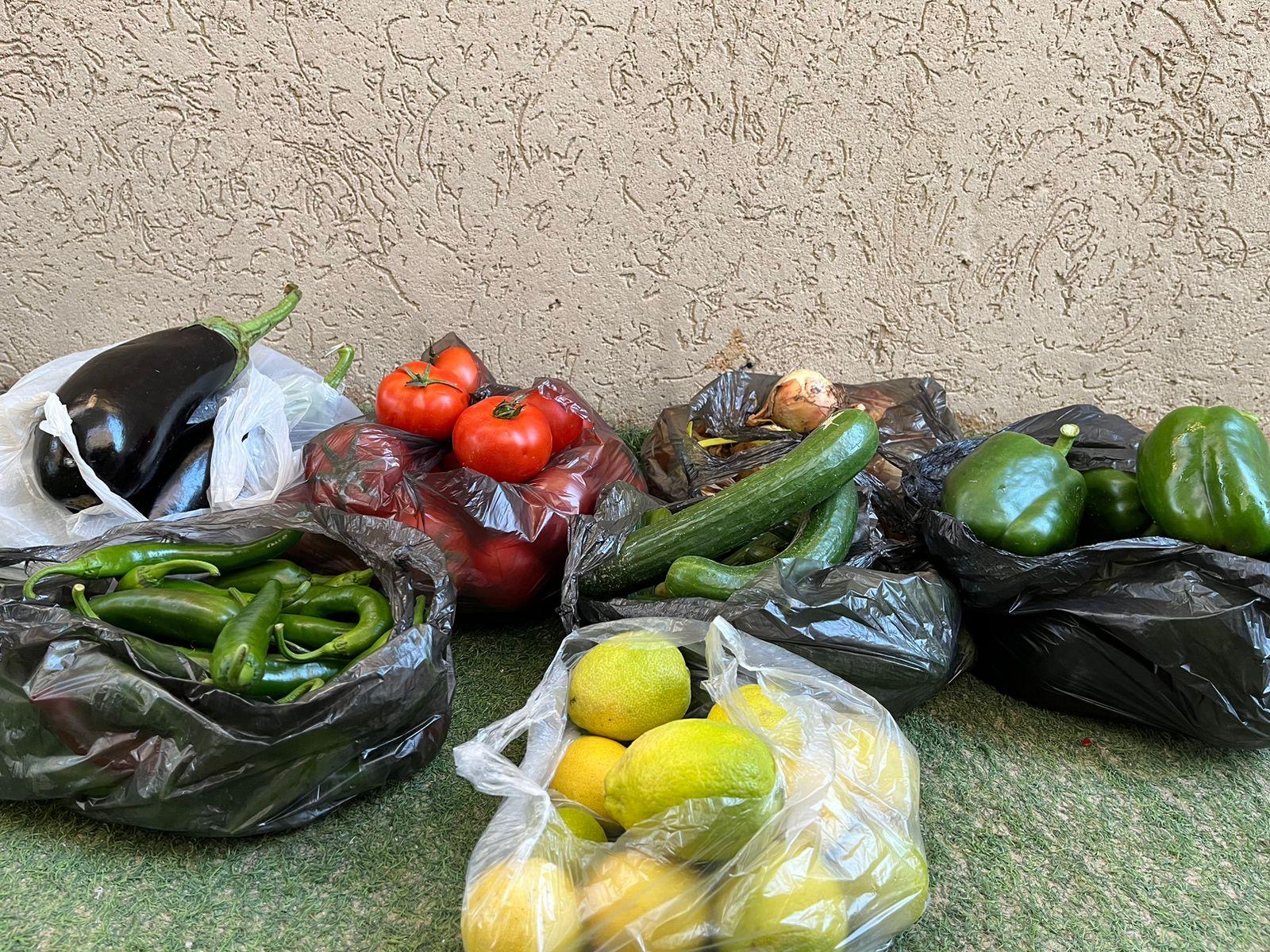 Bags of eggplant, tomatoes, peppers, and lemons