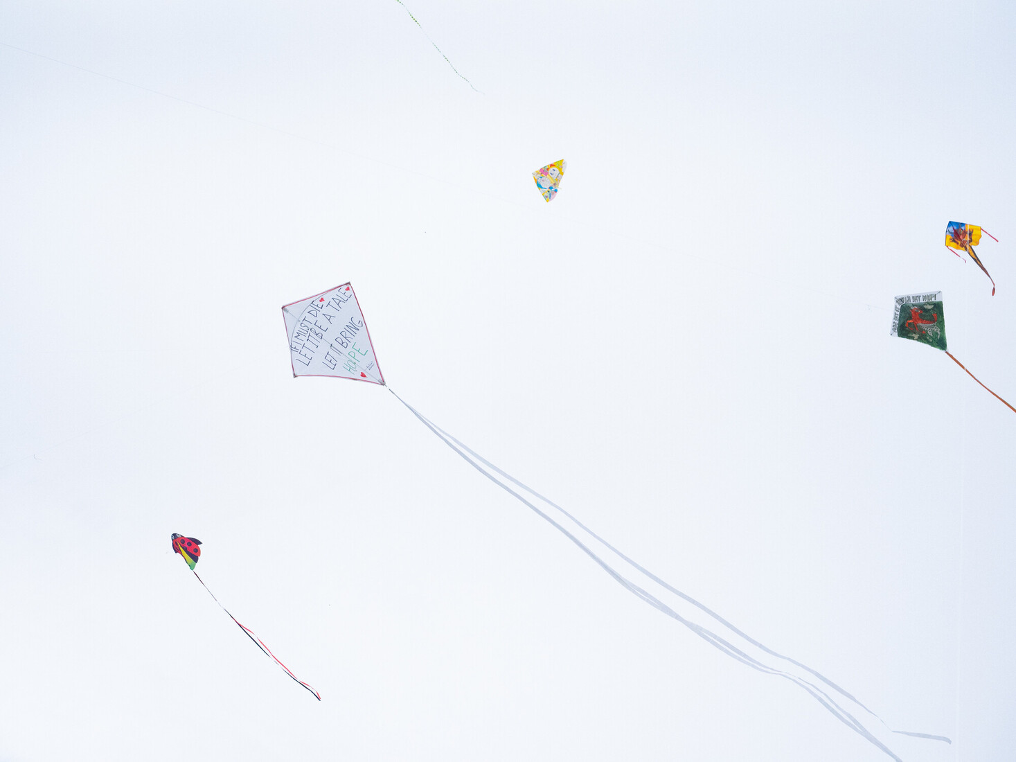 Fly a Kite for Gaza