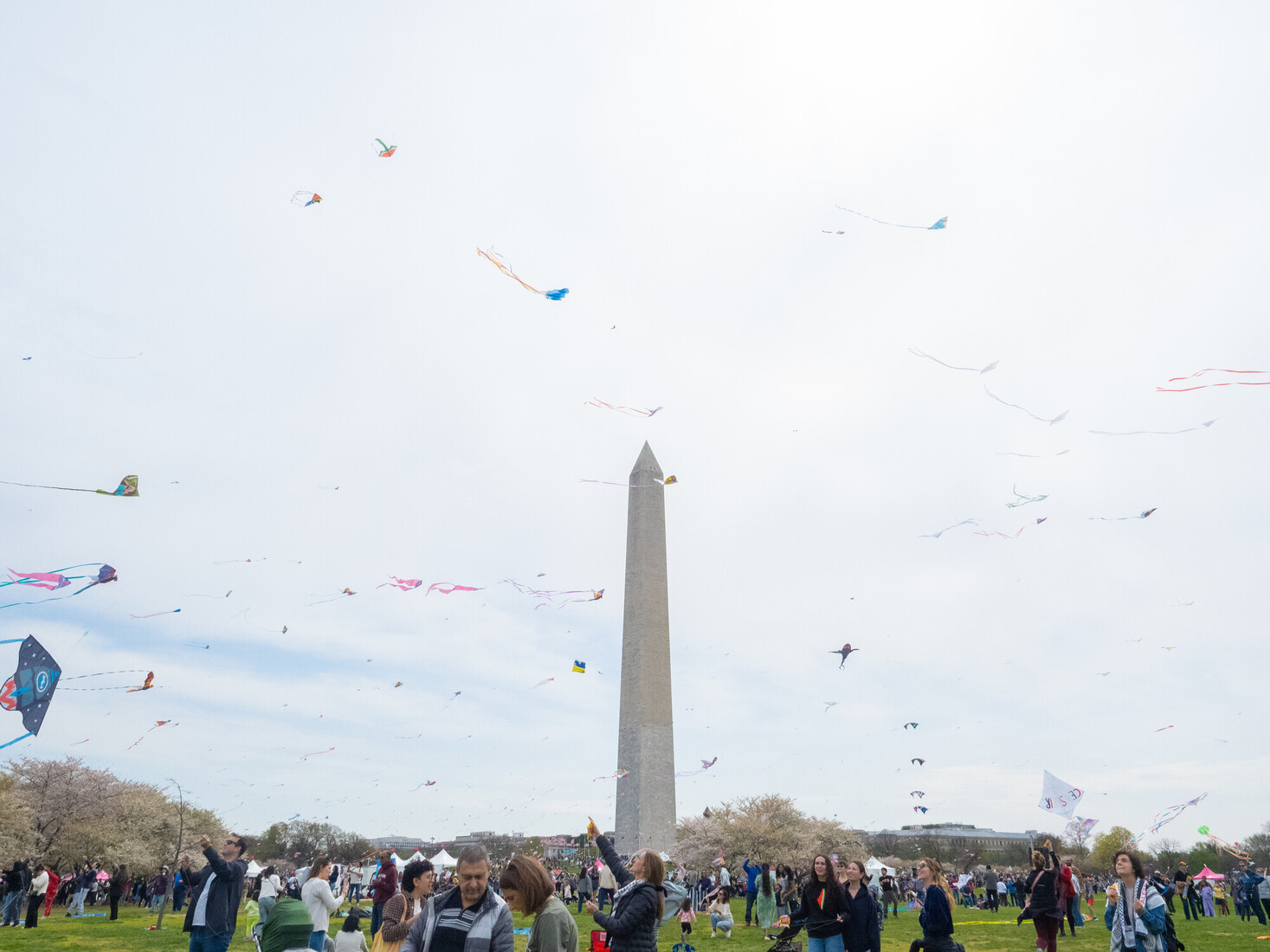 /sites/default/files/2024-10/pb_113037_kites-for-gaza-day-of-action-in-dc-scr.jpg