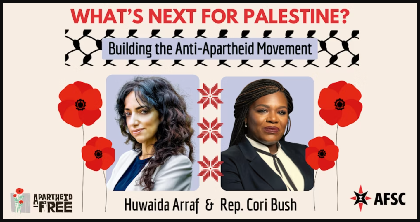 What's Next For Palestine? Building an Anti-Apartheid Movement