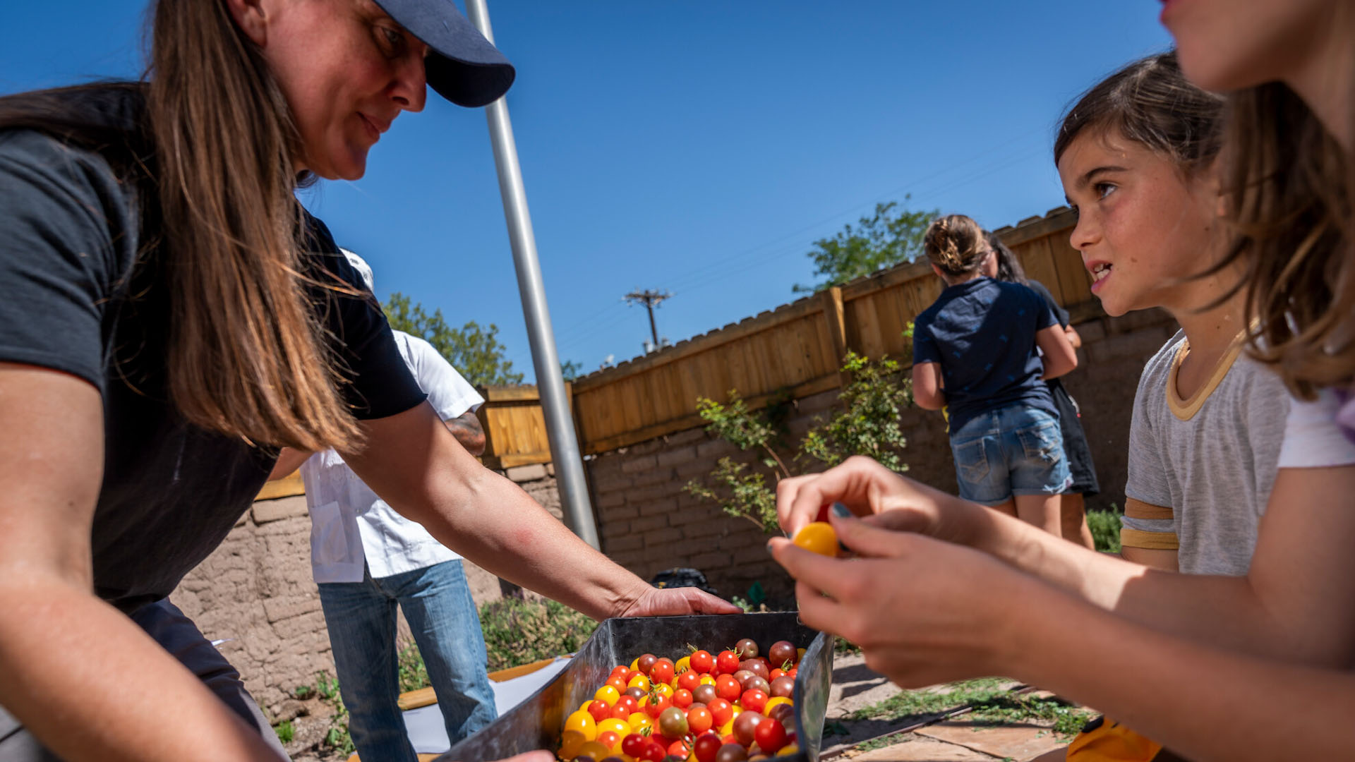 A woman holds a box of fresh tomatoes for a child to take from