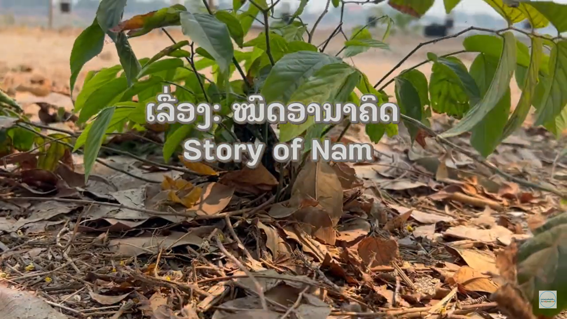 Lao PDR-AYA short film: ”The Story of Nam and The Happiness”