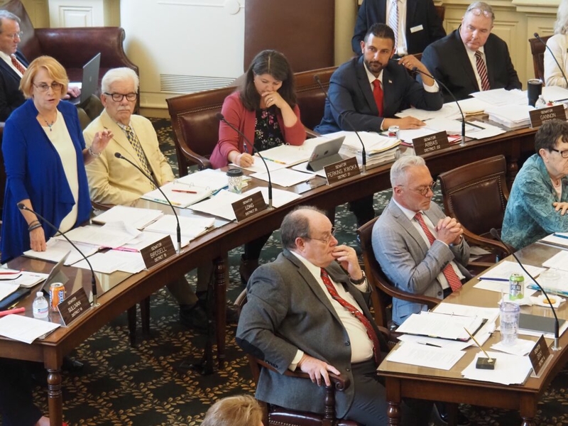 NH senators vote on state budget