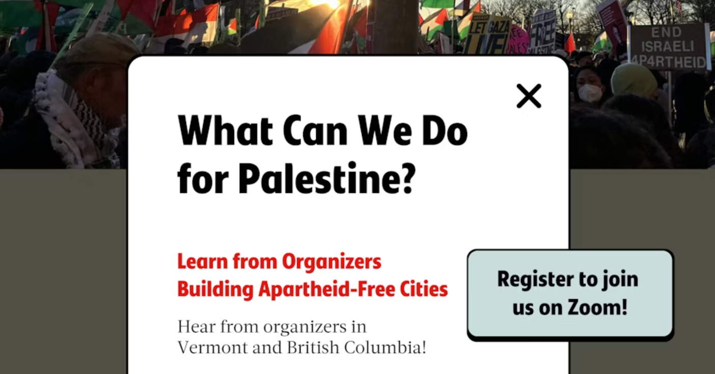 What Can We Do for Palestine?