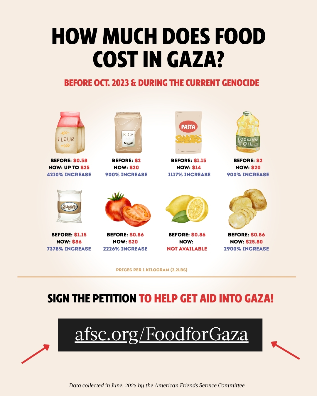 Food Prices in Gaza