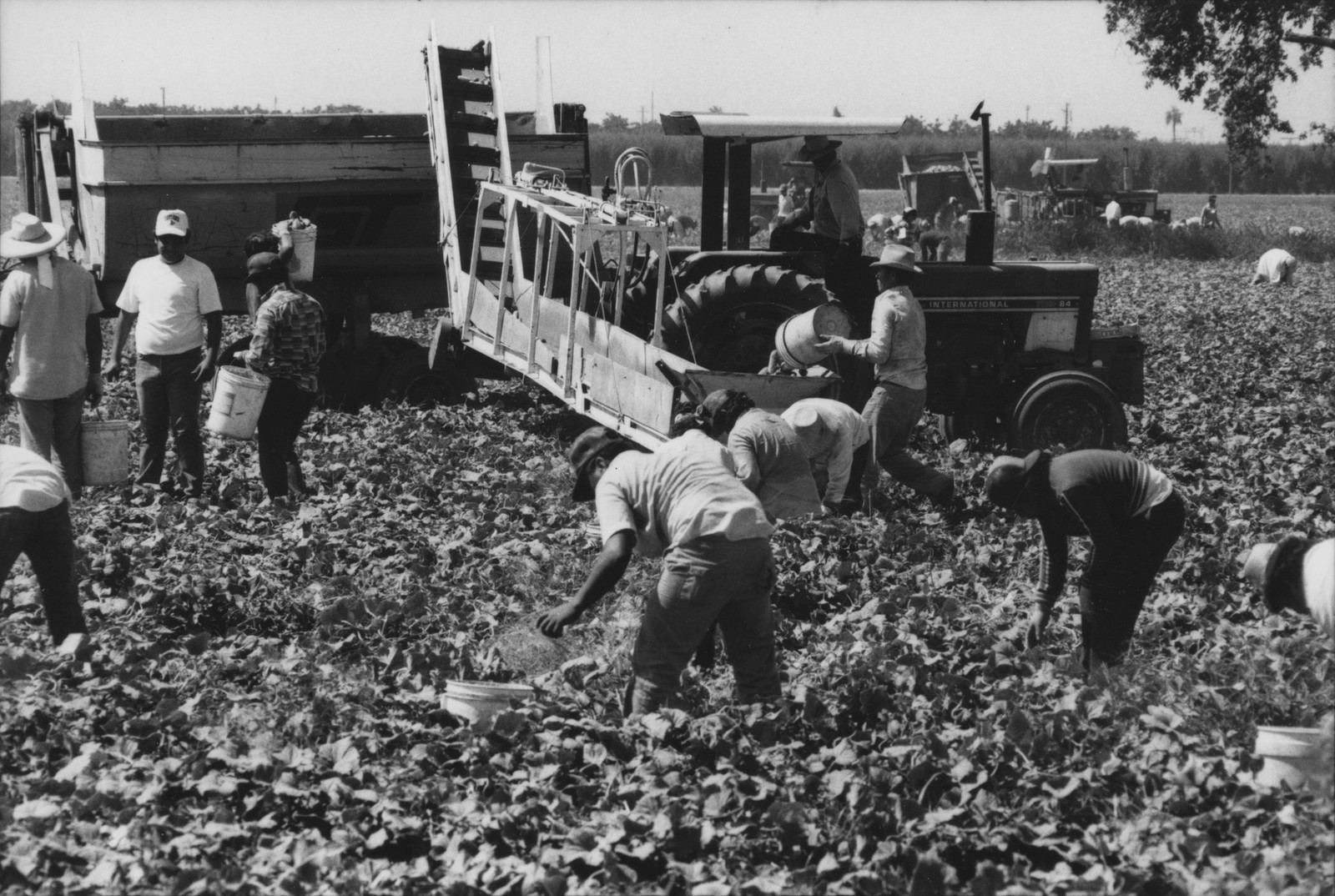 People working on a farm