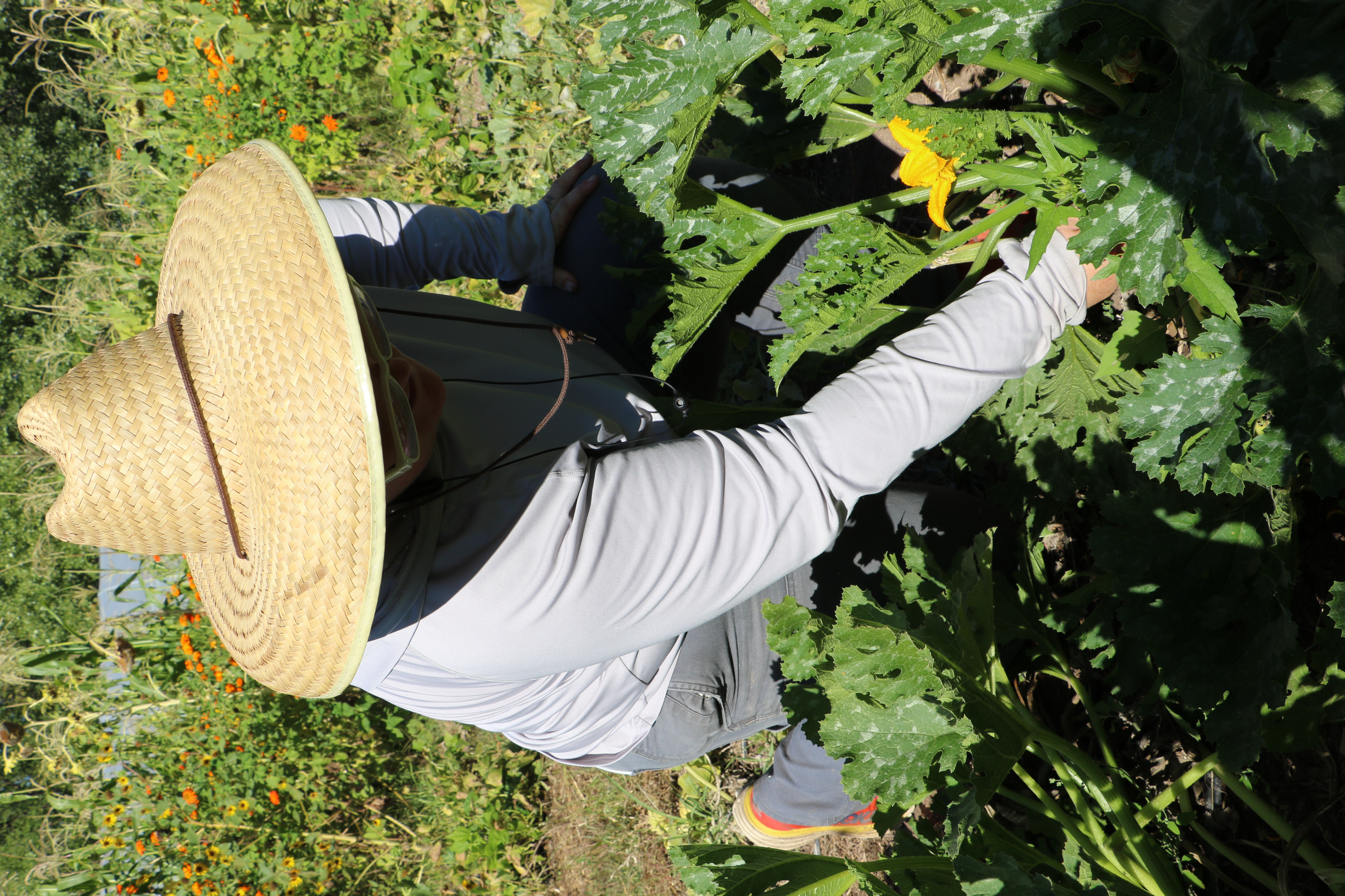 /sites/default/files/2025-10/pb_117563_farm-harvest-in-new-mexico.jpg