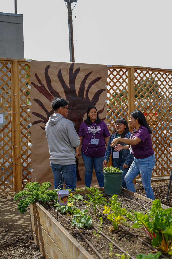 Four people talking next to a garden bed.