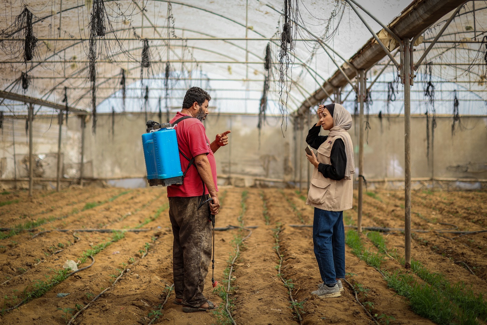 Against all odds, Gaza farmers reclaim their land