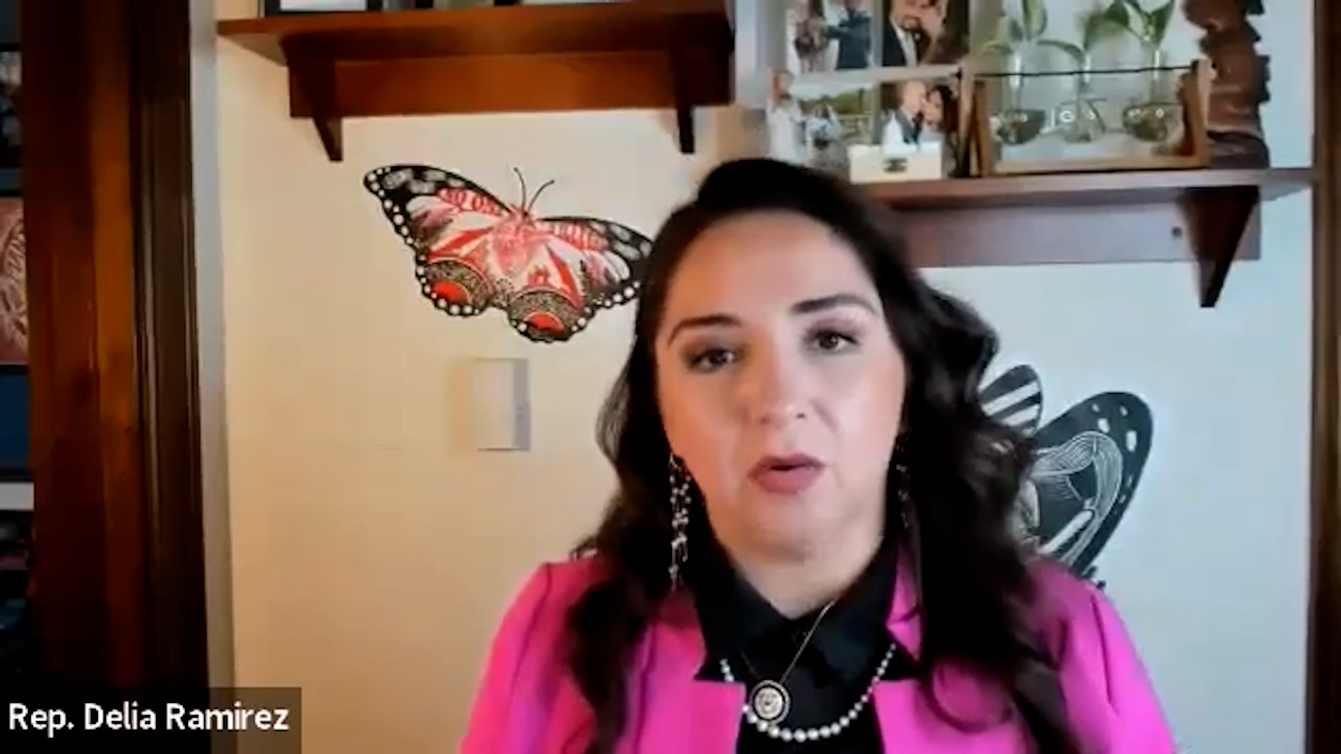 Delia Ramirez speaking on a webinar