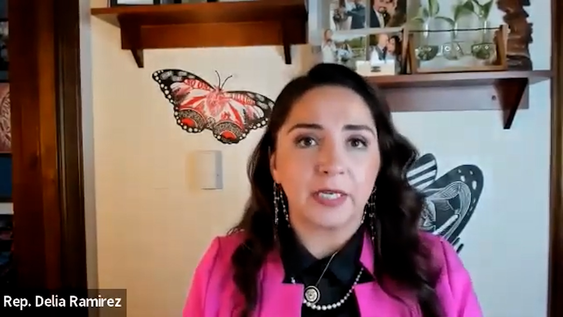 Delia Ramirez speaking on a webinar