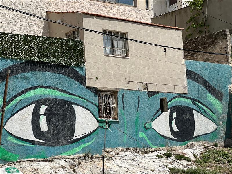 /sites/default/files/2026-03/silwan-eyes-close-up.jpg