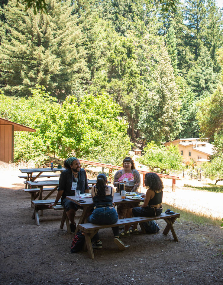people at a picnic table outside in nature. lots of green trees