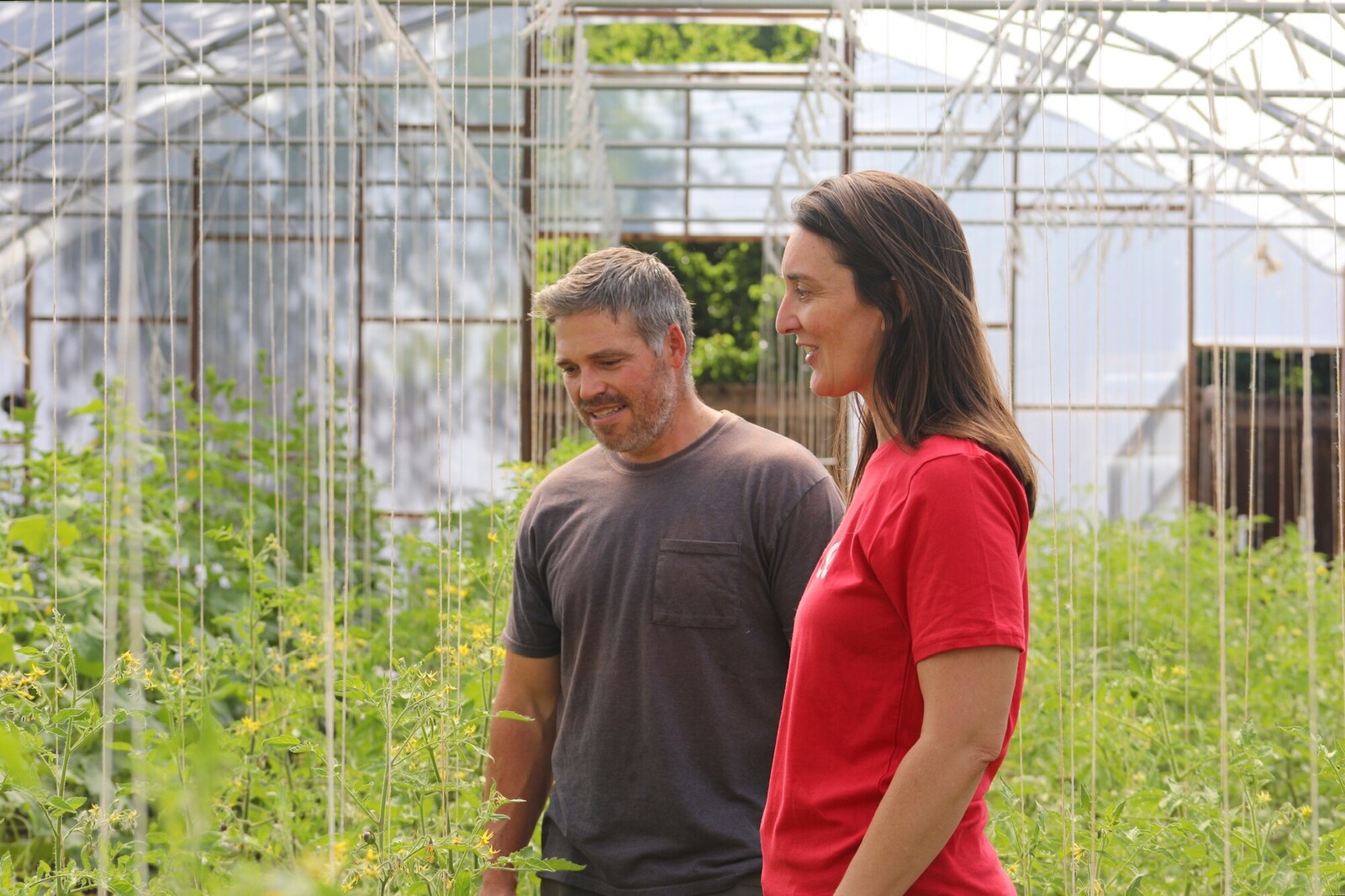 two people looking at plants in a greenhouse