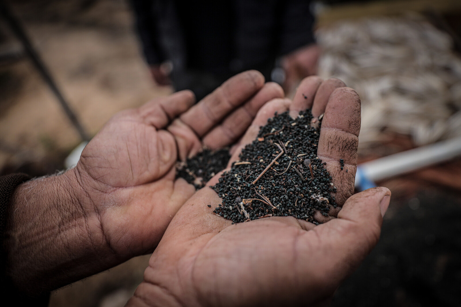 Policy Approaches to Supporting Food Sovereignty in the Levant  