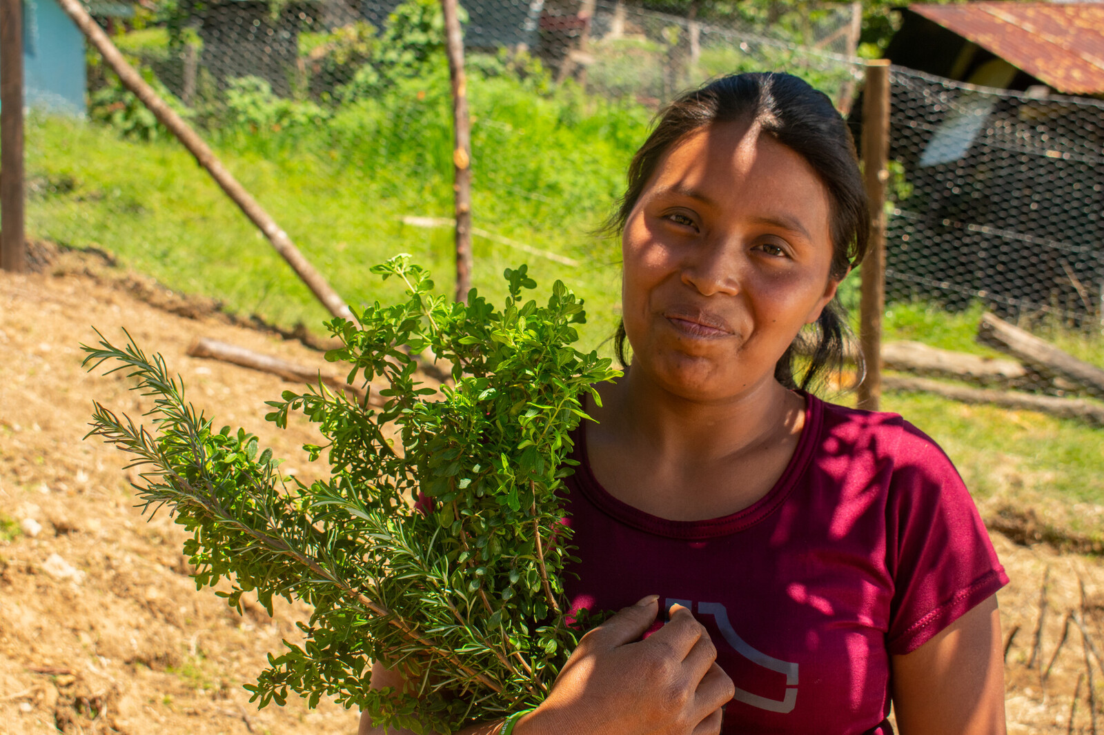 woman holding a bundle of medicinal herbs