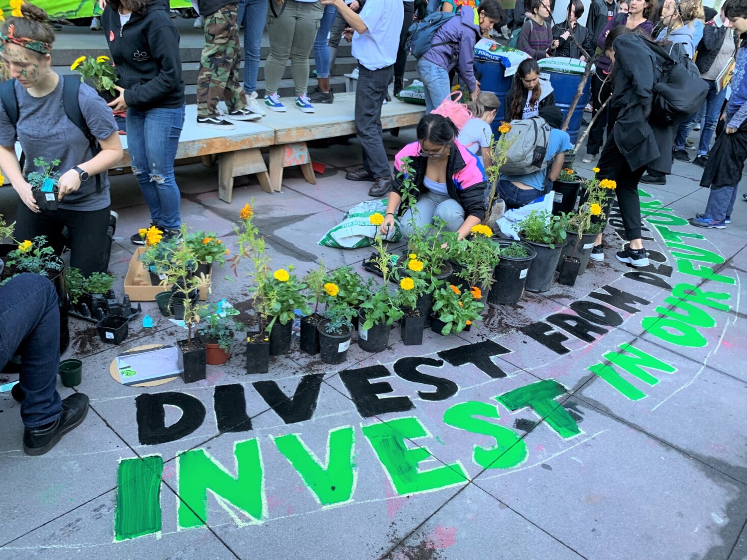 Action Center for Corporate Accountability