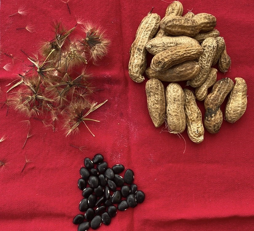 /sites/default/files/2026-06/pb_130404_roots-for-peace-community-farm-photos.jpeg