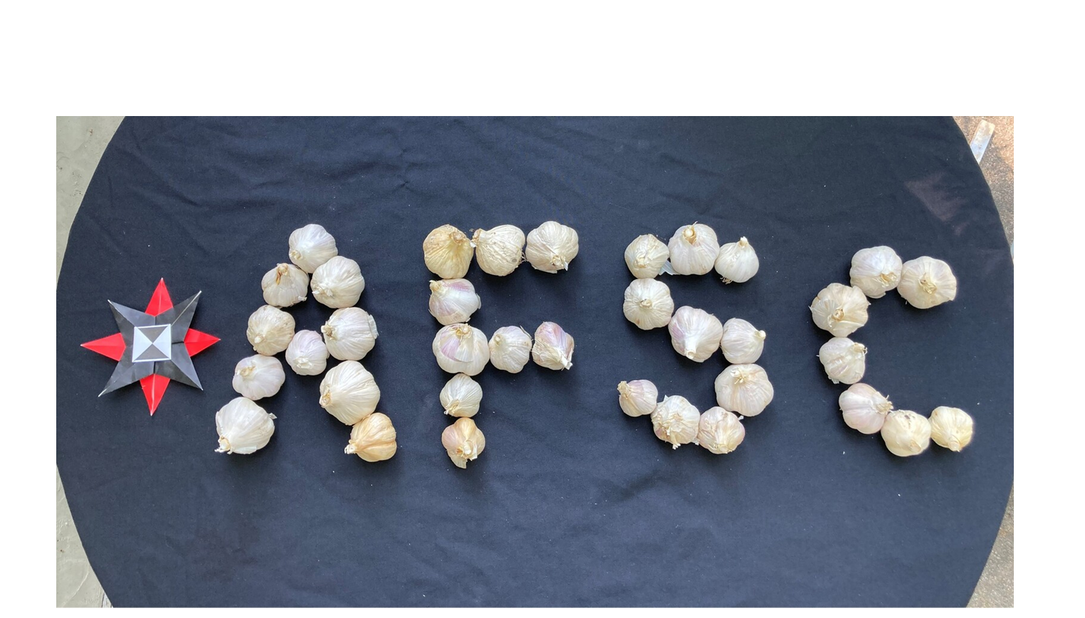 /sites/default/files/2026-08/afsc-logo-in-garlic-2.png