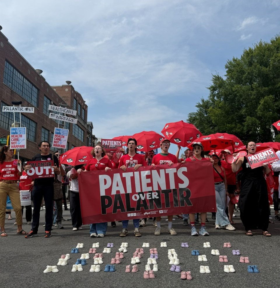 Action against Palantir in DC with NNU