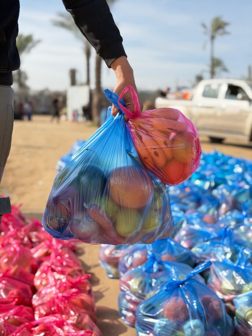 /sites/default/files/2026-09/pb_126425_gaza-fresh-vegetables-scr.jpg