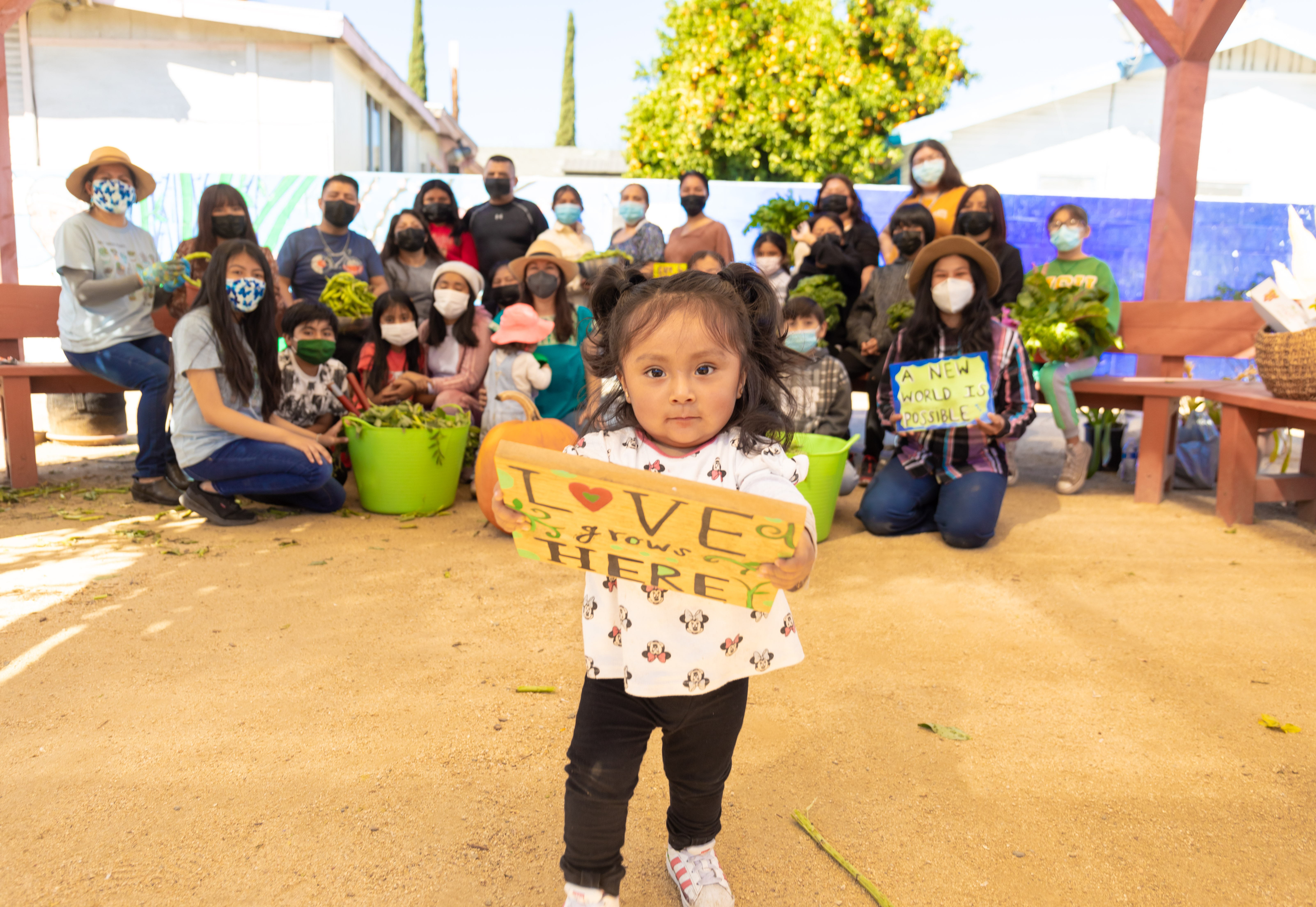 Accompanying immigrant families in   building a community farm in Los Angeles