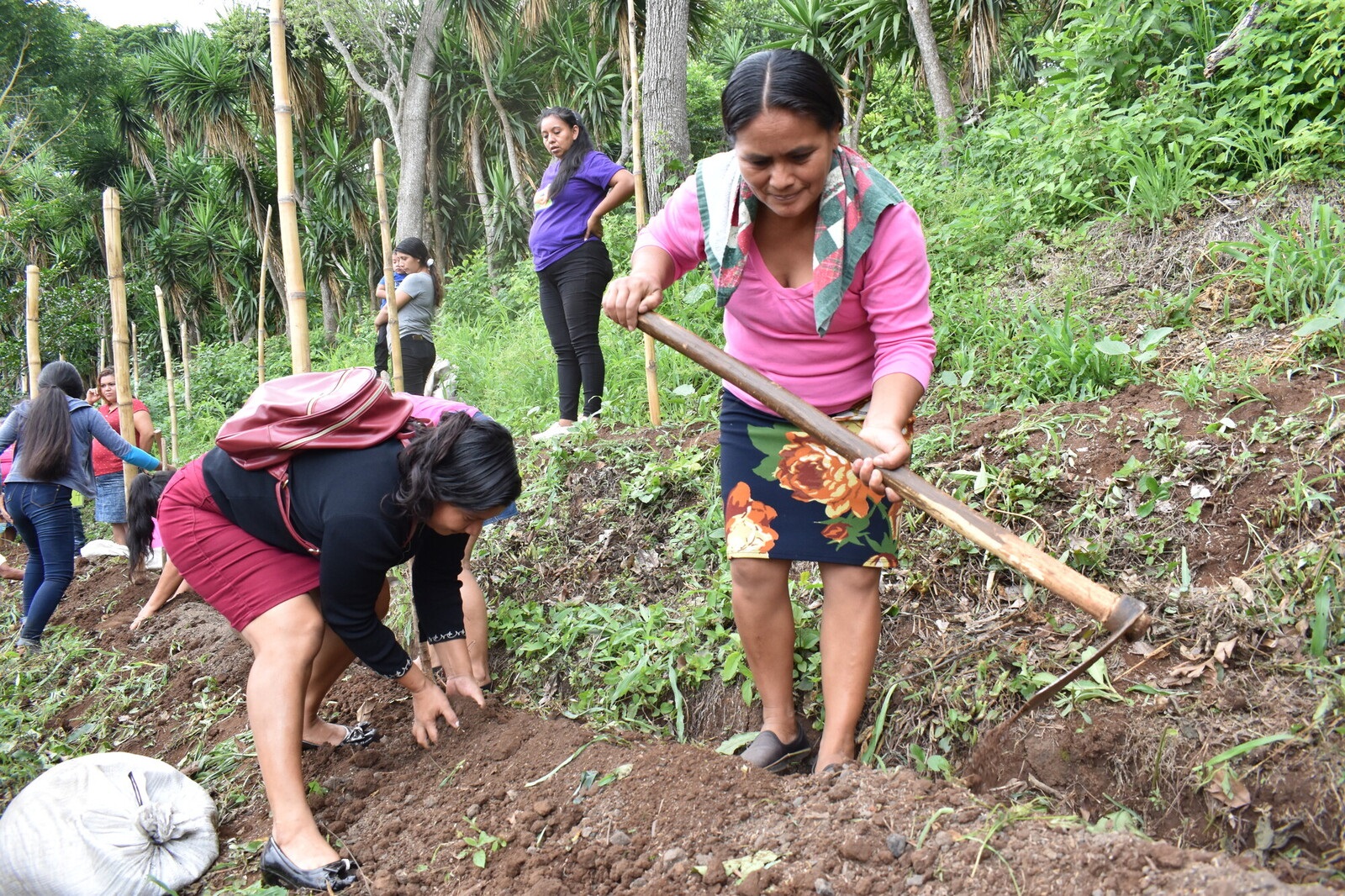 Growing food sovereignty in El Salvador