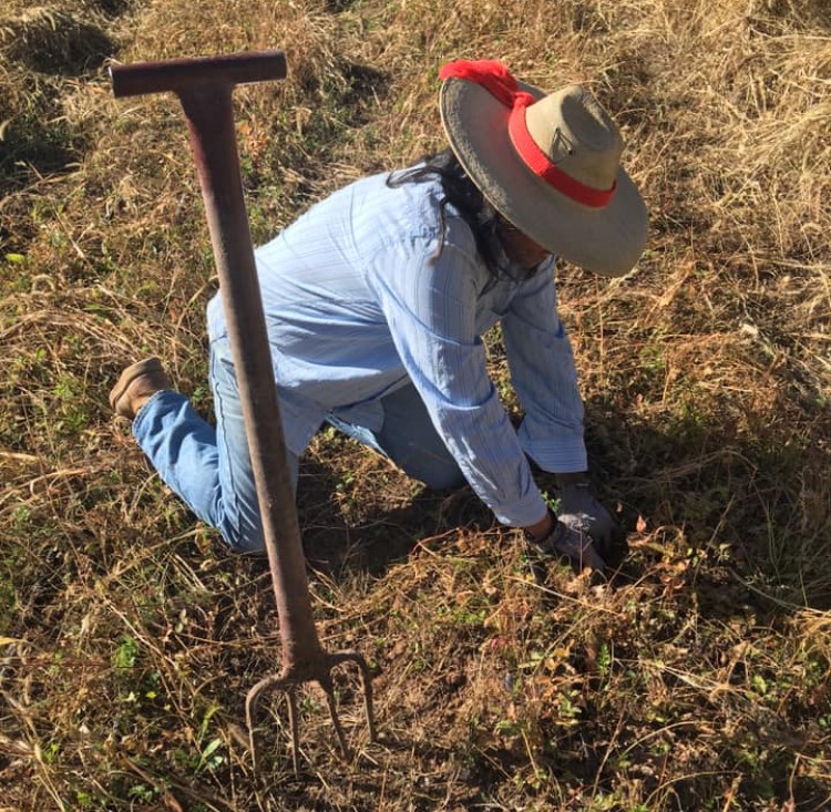 Nurturing Soil for a Healthy Climate