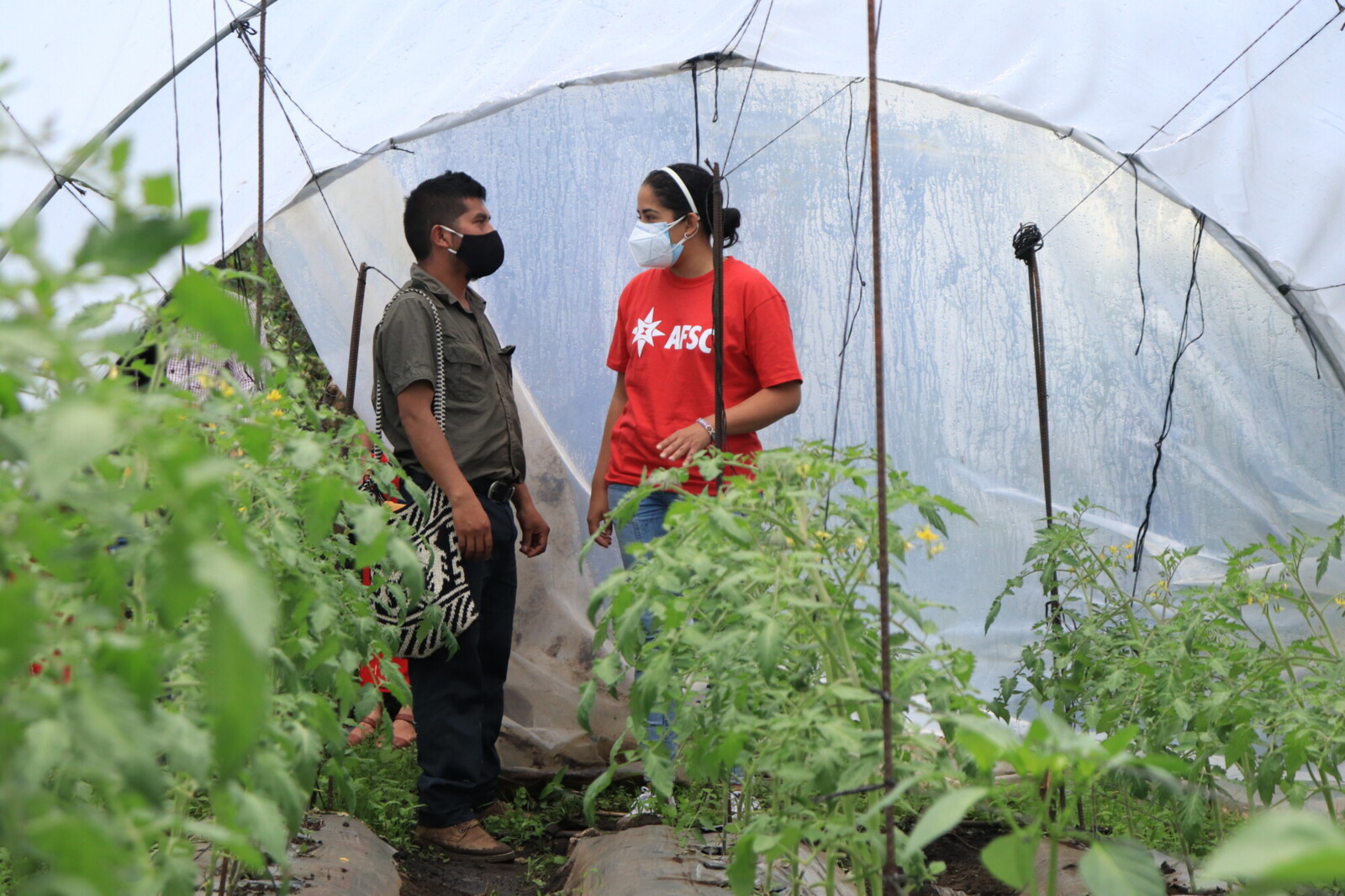 Cultivating collective resilience in Guatemala  