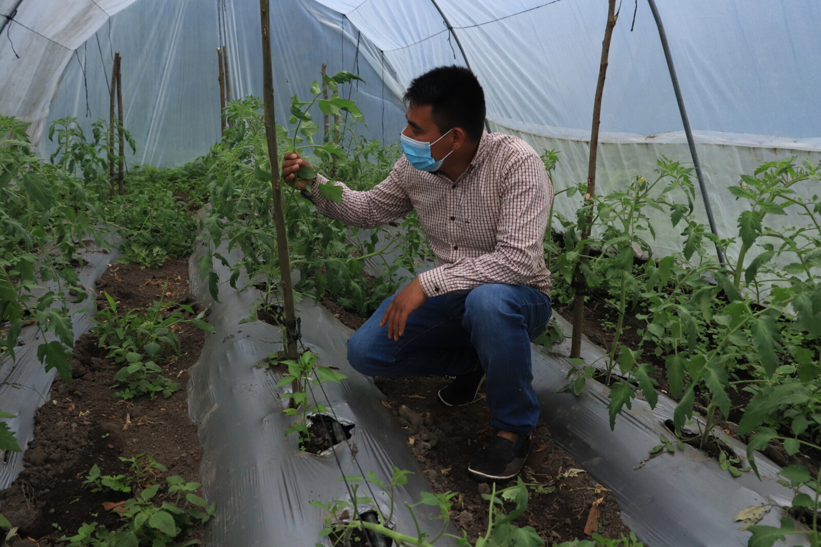 Update: Cultivating collective resilience in Guatemala