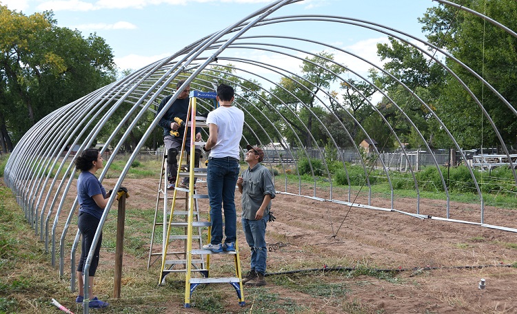 Coldframes bring benefits to New Mexicans