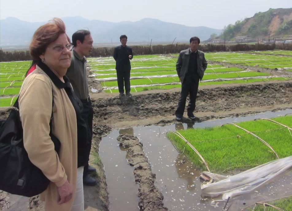 A day on the farm: Visiting AFSC partners in North Korea