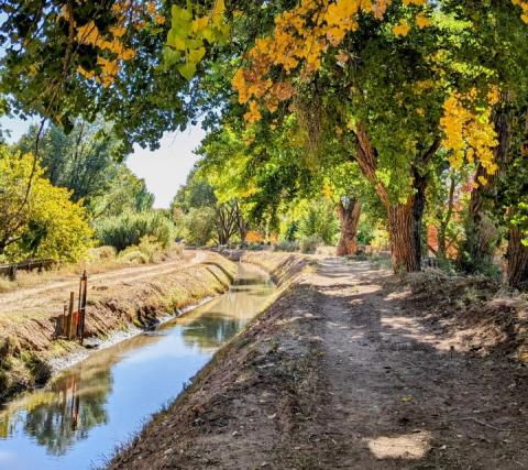 An acequia in New Mexico