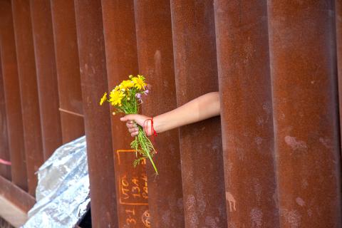 hands reaching flowers through border wall