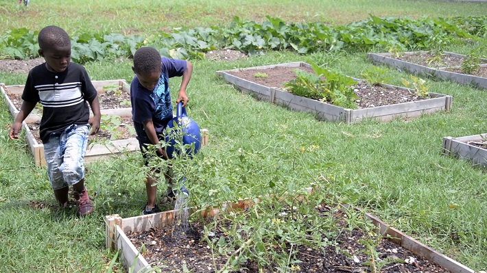 Children at the AFSC New Orleans Peace by Piece Hollygrove garden